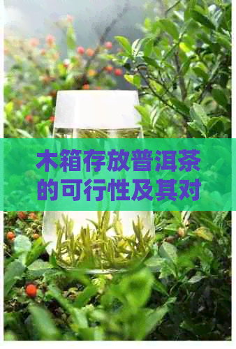 木箱存放普洱茶的可行性及其对普洱茶品质的影响：全面解析与探讨