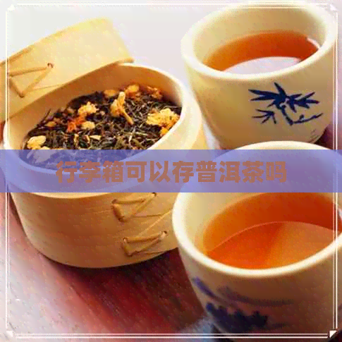 行李箱可以存普洱茶吗