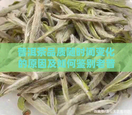 普洱茶品质随时间变化的原因及如何鉴别老普洱茶的质量问题