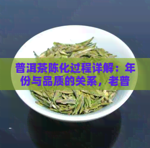 普洱茶陈化过程详解：年份与品质的关系，老普洱茶为何愈发珍贵？