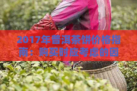 2017年普洱茶饼价格指南：购买时应考虑的因素和常见款式的市场价分析