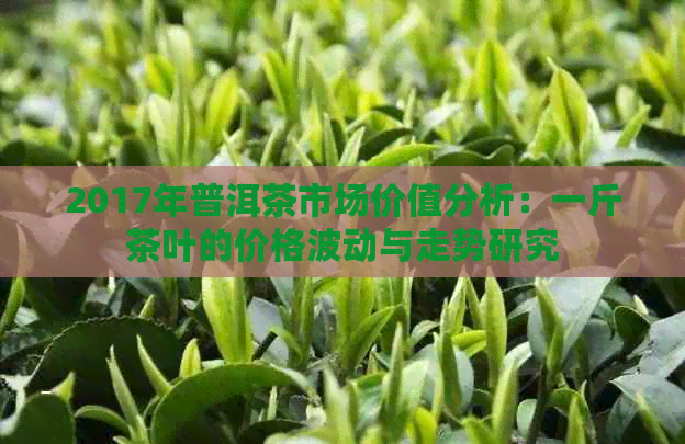 2017年普洱茶市场价值分析：一斤茶叶的价格波动与走势研究