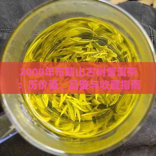 2000年布朗山古树普洱茶：历价值、品鉴与收藏指南