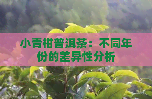 小青柑普洱茶：不同年份的差异性分析