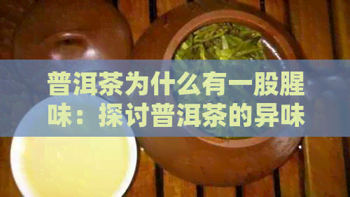 普洱茶为什么有一股腥味：探讨普洱茶的异味原因