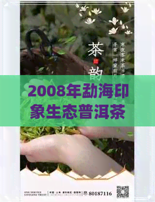 2008年勐海印象生态普洱茶250g