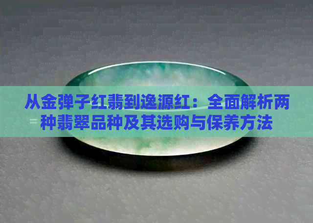 从金弹子红翡到逸源红：全面解析两种翡翠品种及其选购与保养方法