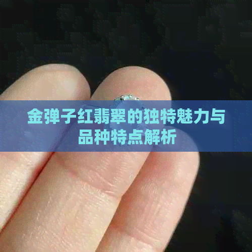 金弹子红翡翠的独特魅力与品种特点解析