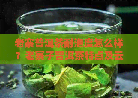 老寨普洱茶耐泡度怎么样？老寨子普洱茶特点及云南老寨春普洱茶价格