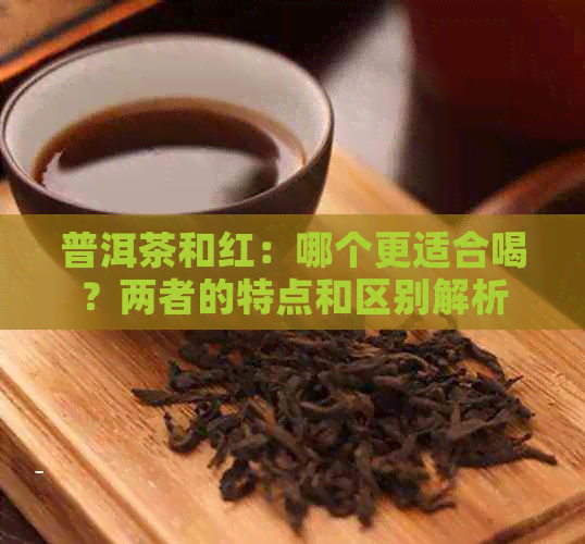 普洱茶和红：哪个更适合喝？两者的特点和区别解析