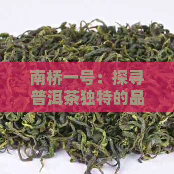 南桥一号：探寻普洱茶独特的品质与价格解析