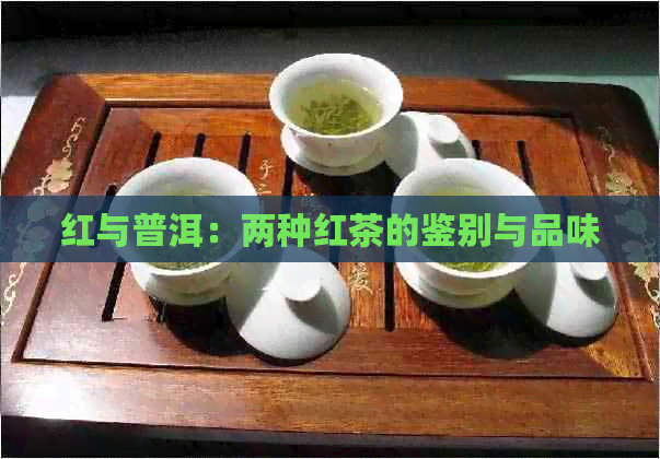 红与普洱：两种红茶的鉴别与品味