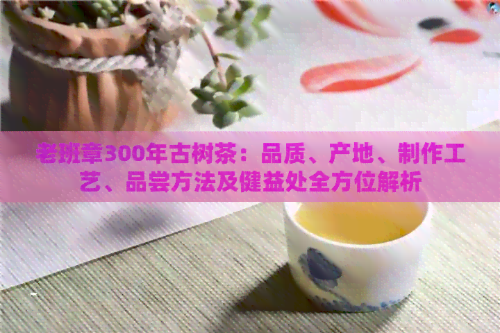 老班章300年古树茶：品质、产地、制作工艺、品尝方法及健益处全方位解析