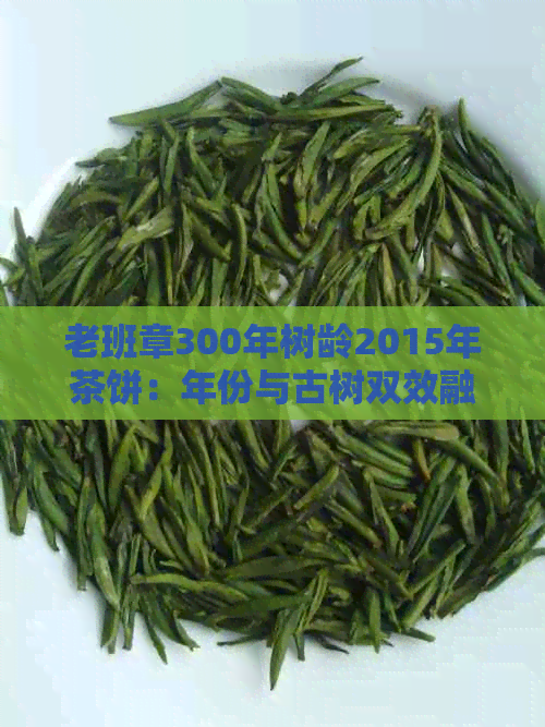 老班章300年树龄2015年茶饼：年份与古树双效融合，品鉴独特韵味