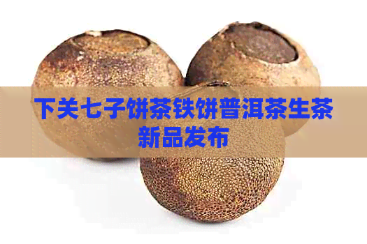 下关七子饼茶铁饼普洱茶生茶新品发布