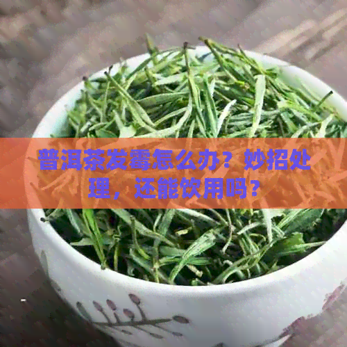 普洱茶发霉怎么办？妙招处理，还能饮用吗？