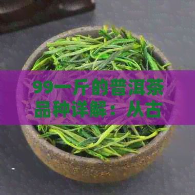 99一斤的普洱茶品种详解：从古树茶到散茶，一份全面的指南