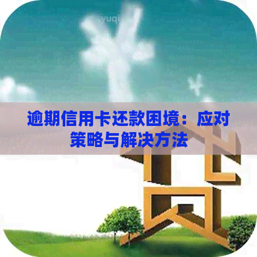 逾期信用卡还款困境：应对策略与解决方法