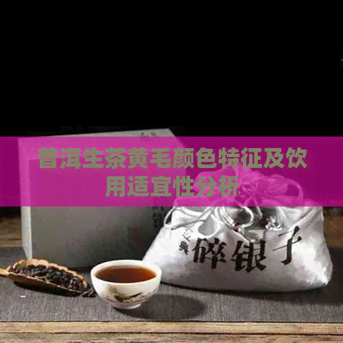 普洱生茶黄毛颜色特征及饮用适宜性分析