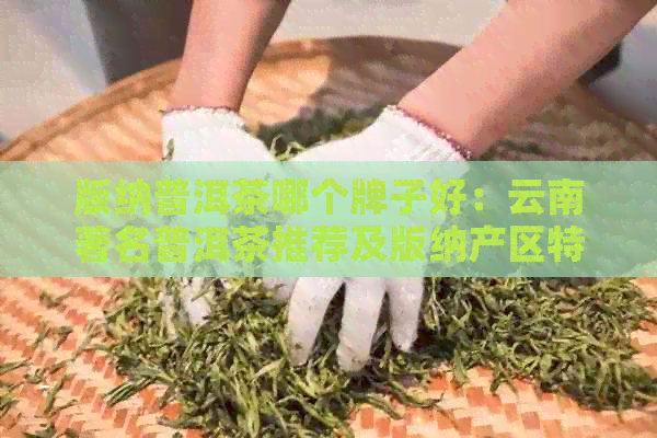 版纳普洱茶哪个牌子好：云南著名普洱茶推荐及版纳产区特点概述