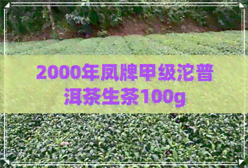 2000年凤牌甲级沱普洱茶生茶100g