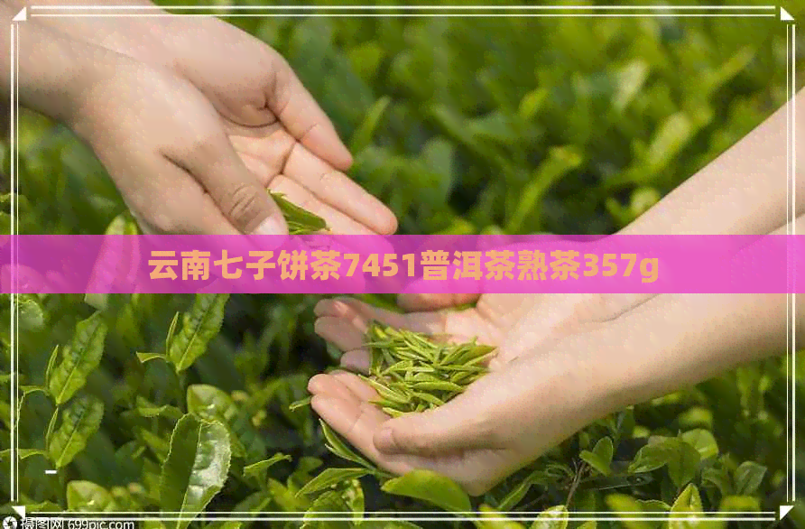 云南七子饼茶7451普洱茶熟茶357g