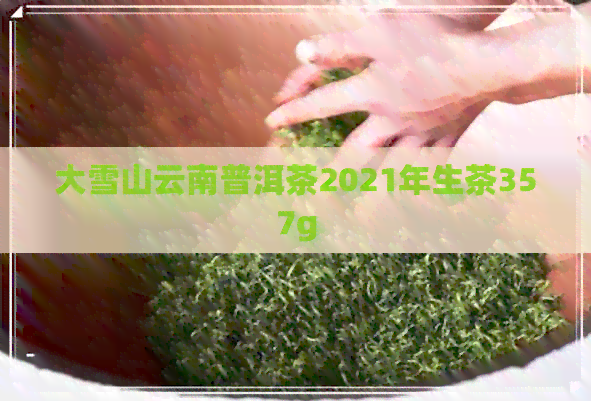 大雪山云南普洱茶2021年生茶357g