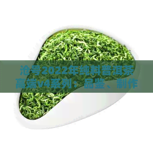 沧号2022年纯料普洱茶高端v4系列：品鉴、制作工艺、年份及口感全面解析