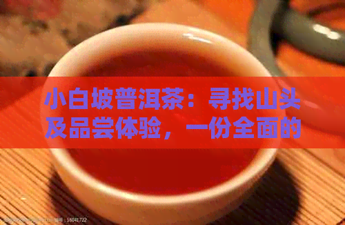 小白坡普洱茶：寻找山头及品尝体验，一份全面的指南