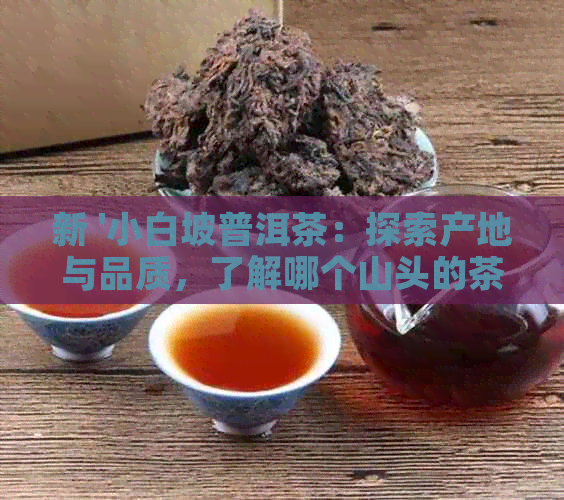 新 '小白坡普洱茶：探索产地与品质，了解哪个山头的茶叶最出色'