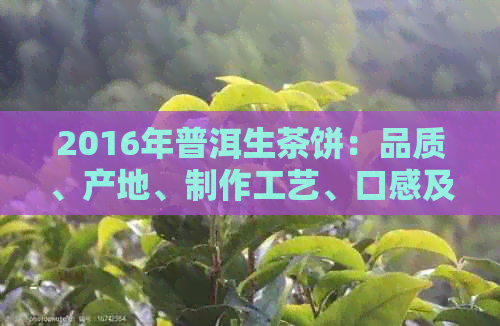 2016年普洱生茶饼：品质、产地、制作工艺、口感及收藏价值全面解析