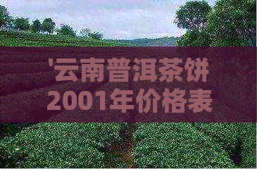 '云南普洱茶饼2001年价格表大全：2007年云南普洱茶饼价格'