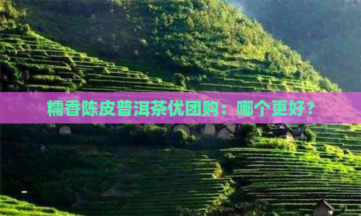 糯香陈皮普洱茶优团购：哪个更好？