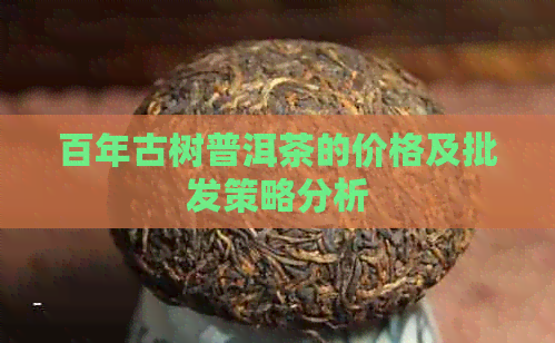 百年古树普洱茶的价格及批发策略分析