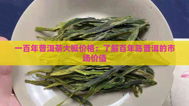 一百年普洱茶大概价格：了解百年陈普洱的市场价值