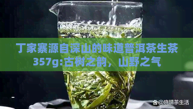 丁家寨源自深山的味道普洱茶生茶357g:古树之韵，山野之气