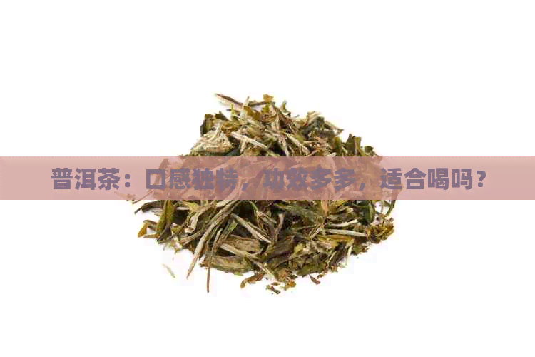 普洱茶：口感独特，功效多多，适合喝吗？