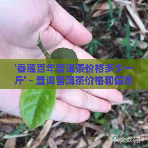 '香蕴百年普洱茶价格多少一斤' - 查询普洱茶价格和信息