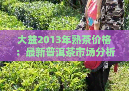 大益2013年熟茶价格：最新普洱茶市场分析