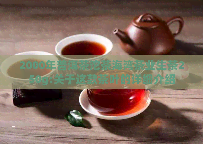 2000年普洱茶沱茶海湾茶业生茶250g:关于这款茶叶的详细介绍