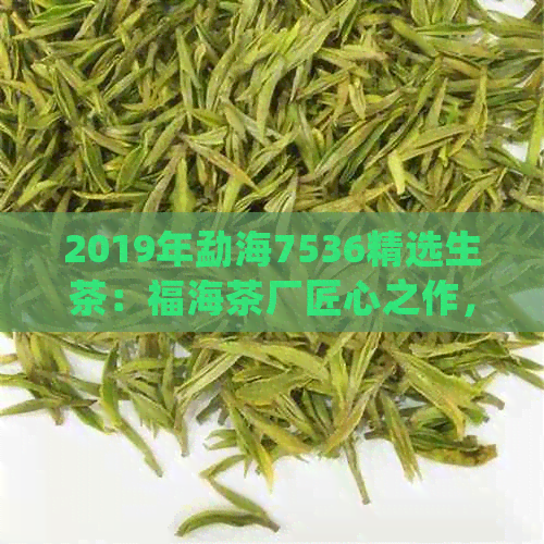 2019年勐海7536精选生茶：福海茶厂匠心之作，品茗人生357g