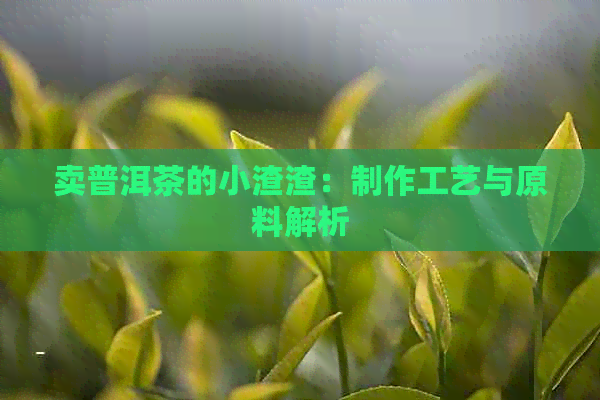 卖普洱茶的小渣渣：制作工艺与原料解析