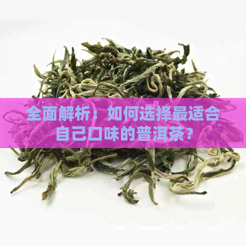 全面解析：如何选择最适合自己口味的普洱茶？