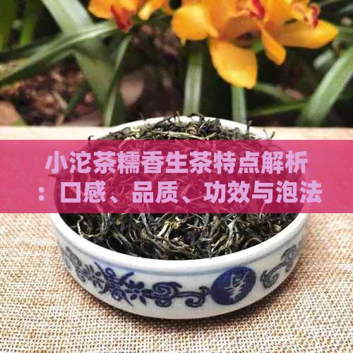 小沱茶糯香生茶特点解析：口感、品质、功效与泡法一应俱全！