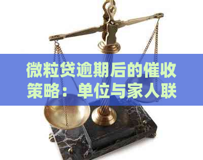 微粒贷逾期后的策略：单位与家人联系方式的透露时间