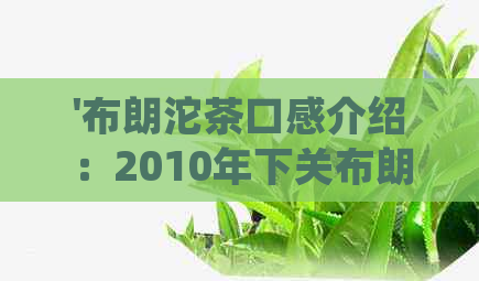 '布朗沱茶口感介绍：2010年下关布朗沱茶的品味体验'