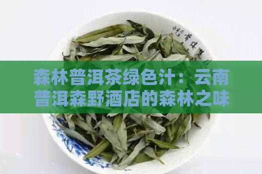 森林普洱茶绿色汁：云南普洱森野酒店的森林之味古树普洱茶