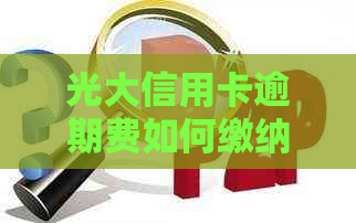 光大信用卡逾期费如何缴纳？解决逾期费用支付的全方位指南