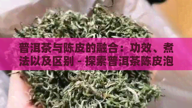 普洱茶与陈皮的融合：功效、煮法以及区别 - 探索普洱茶陈皮泡水的奥秘