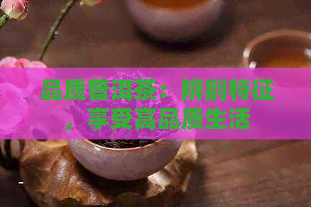 品质普洱茶：辨别特征，享受高品质生活